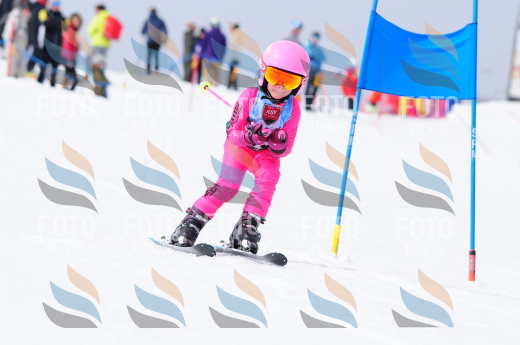 A3816 | holidayphoto