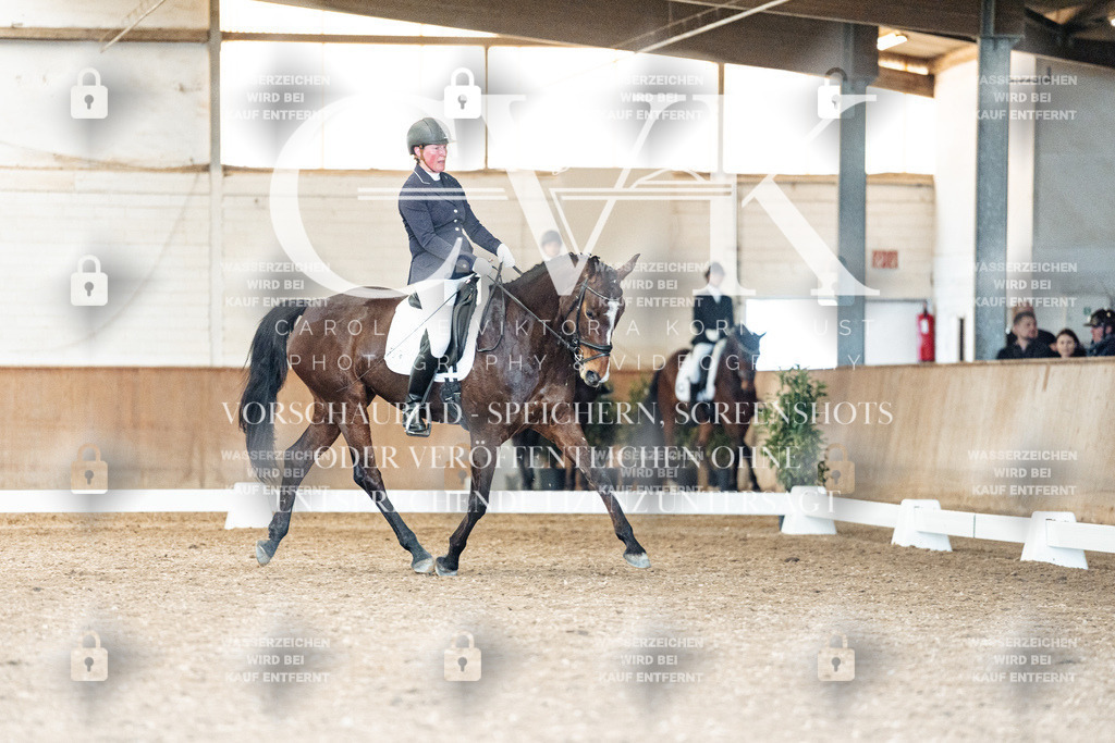CK901428 | Turnierfotografie Pferdefotografie Trier Rheinland-Pfalz Pferdesport Reitsport Tierfotografie Sportfotografie Pferdevideo Pferdevideografie Equestrianvideography equestrianphotography  - Realisiert mit Pictrs.com