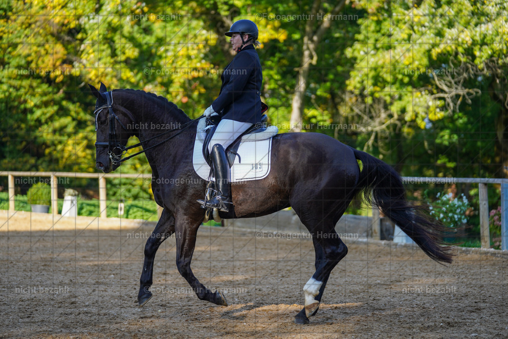 20221007-FAH00210 | Diessen am Ammersee, 2022, Dressur- und Springturnier, Reitsportbilder, Turnierfotografen Bayern, Pferdefotografen, Fotoagentur Herrmann, Turnierbilder