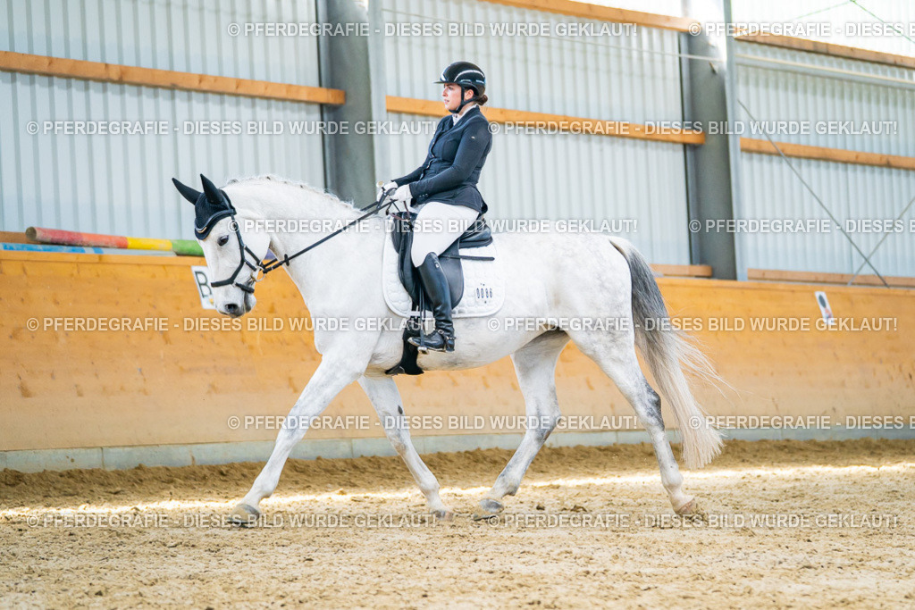 DSC07839 | Pferdegrafie