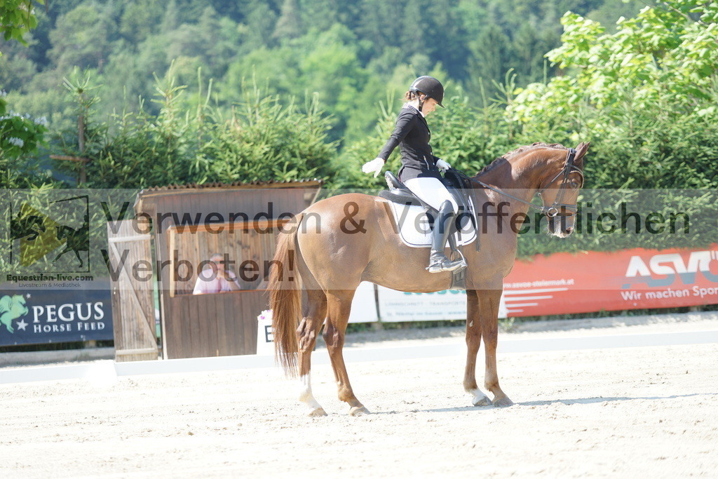 DSC02299 | equestrian-live-com