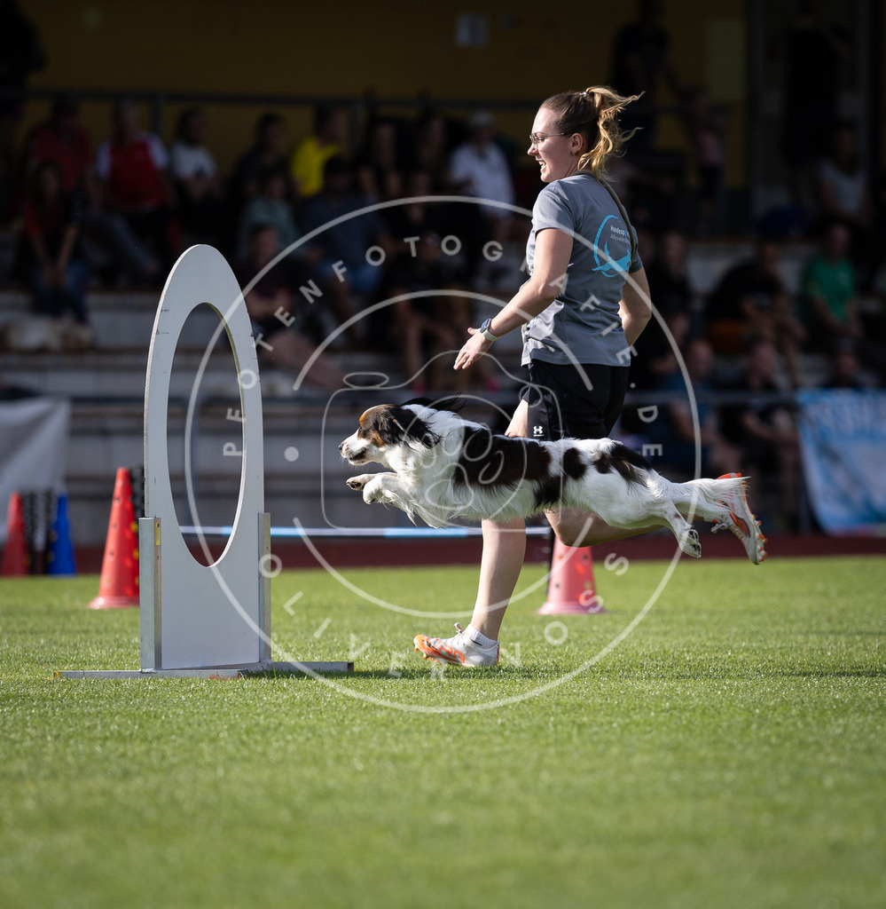 Pfotenfotografie_DV3A2013 | Hundefotografie, Tierfotograf, Pfotenfotografie, Fotoshooting Hund, Hunde Portrait, Hundesport, Hundeportraits, Heideshooting, Hunde, Sportfotograf, Hundefotograf, Turnierhundsport, THS,  - Realisiert mit Pictrs.com