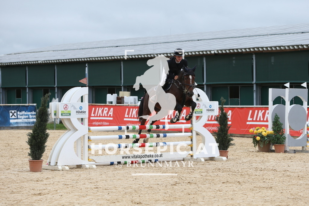 DL2Q0599 | Willkommen bei Brunnmayr - Design & Fotografie – Ihrem Spezialisten für Reitturniere und Pferdeveranstaltungen in Oberösterreich, Salzburg und Bayern! Seit über 17 Jahren sind wir leidenschaftlich dabei.