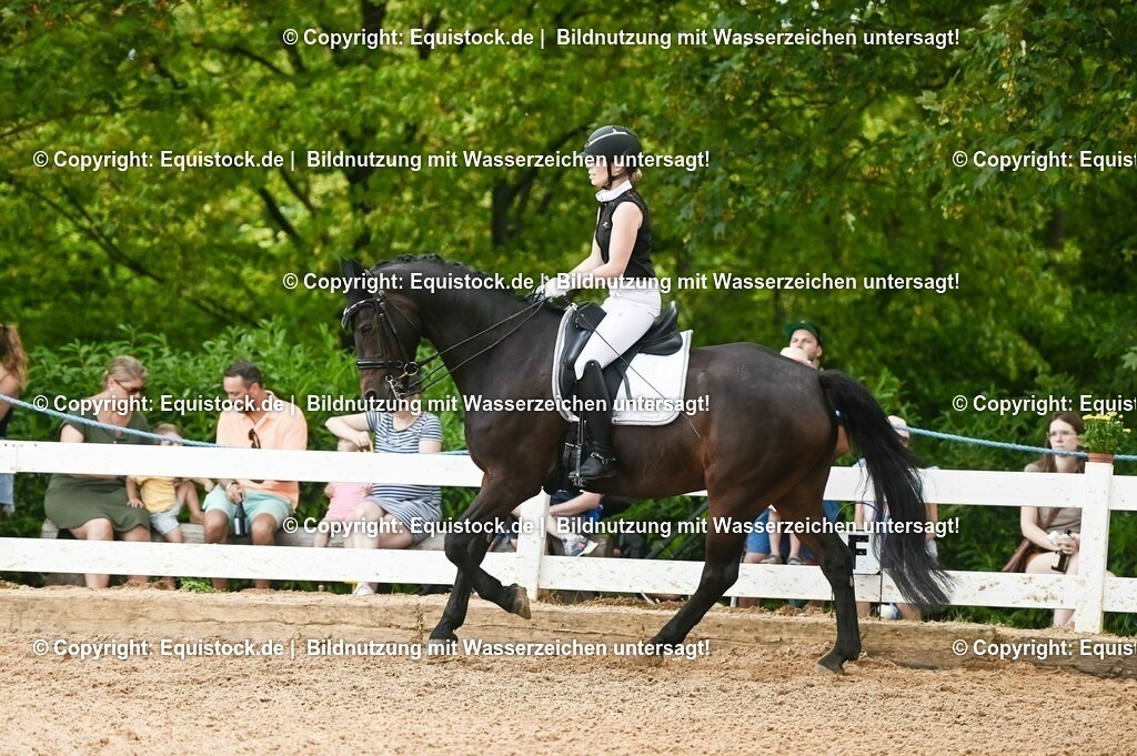 20230716_01_Dressurprüfung Kl.M_0463 | equistock
