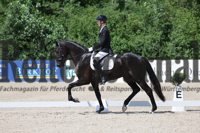 Weilheim_2025_Prfg.Nr.24_Reitpferdeprüfung_Tristan rückert_Ilario 8 (4) | Alle Fotos der Reiterjournal Fotografin Doris Matthaes im Reiterjournal Online-Fotoshop. - Realisiert mit Pictrs.com
