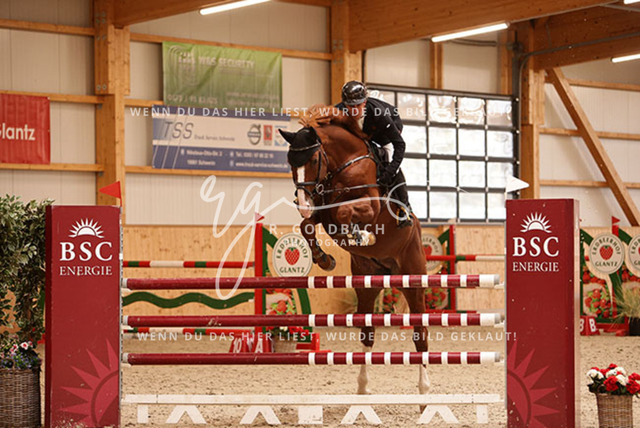 1J2A8877Christoph Lanske_ Noan SMH_ Kn401_ Glantz_ Hohen Wieschendorf | Foto- und Videografie für alles rund ums Pferd. Hochwertige Bilder und Videos vom Spring- und Dressurreiten, Voltigieren & mehr. Jetzt aktuelle Veranstaltungen und Preise im Shop ansehen. - Realisiert mit Pictrs.com