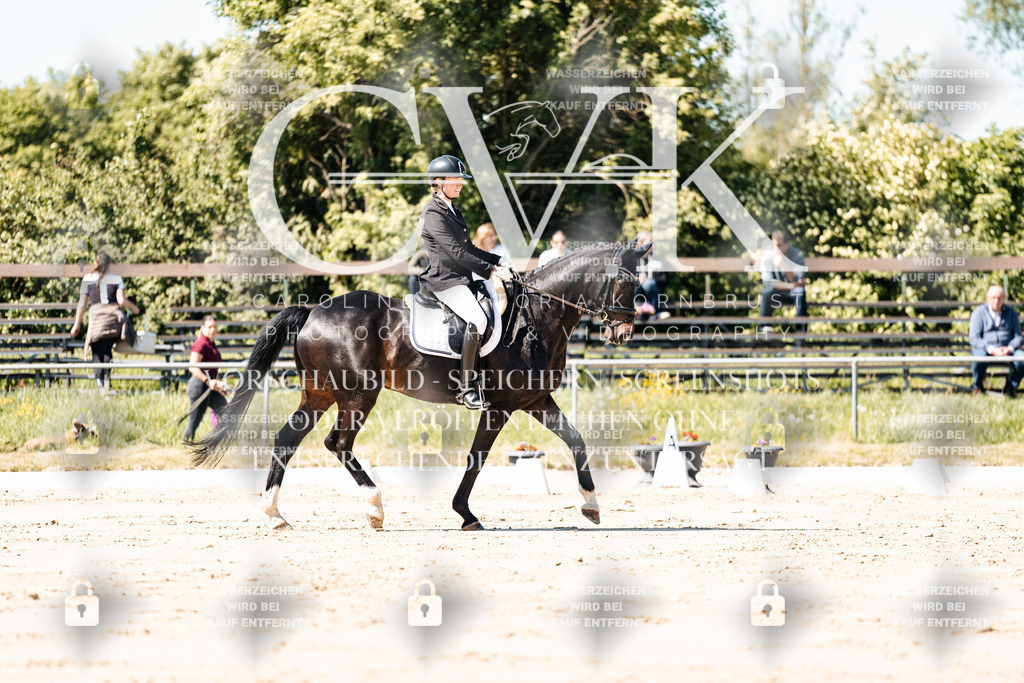 CK905105 | Turnierfotografie Pferdefotografie Trier Rheinland-Pfalz Pferdesport Reitsport Tierfotografie Sportfotografie Pferdevideo Pferdevideografie Equestrianvideography equestrianphotography  - Realisiert mit Pictrs.com
