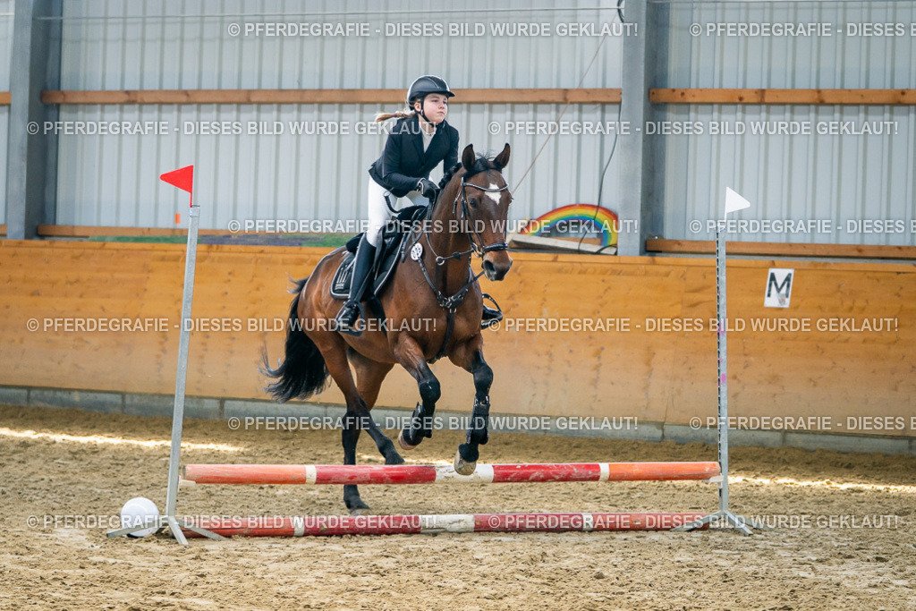 DSC01762 | Pferdegrafie