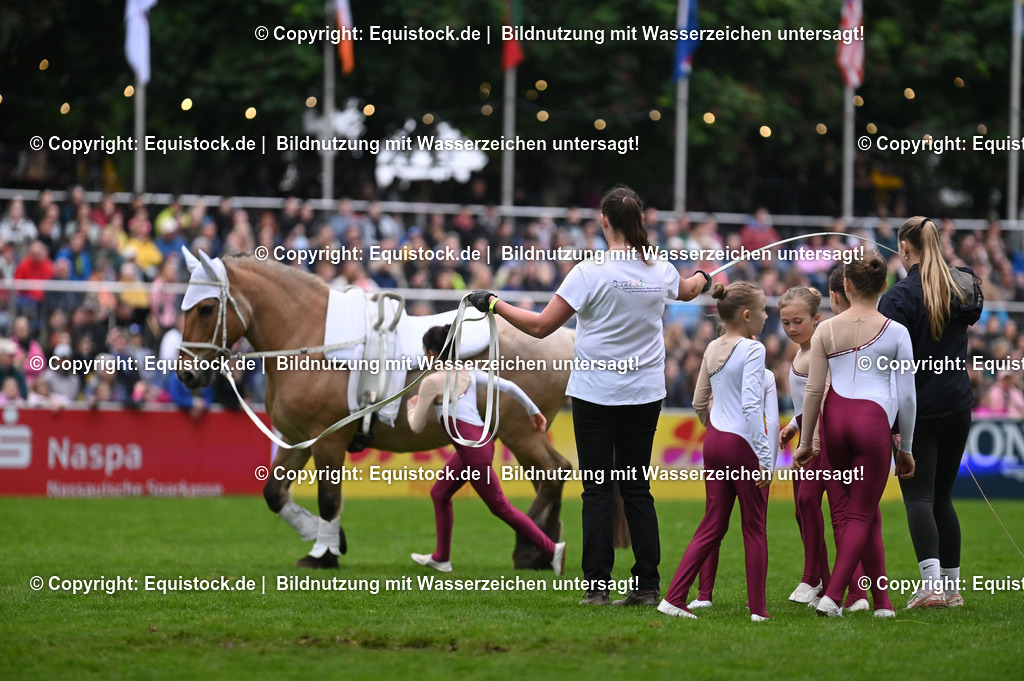 20240517_Lange-Pferdenacht_0308 | Foto: Thomas Hartig