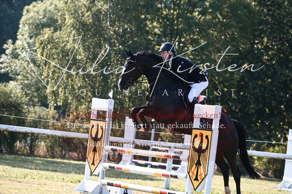 DSC_7531 | Pferde- und Turnierfotografie in Westsachsen. Pferdeportraits, Auftragszeichnungen und intuitive Kunst.