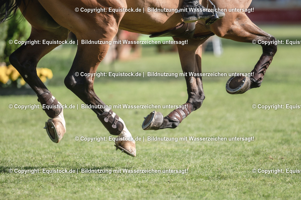20230527_14_CSI4_Lotto-Hessen-Preis_0126 | equistock
