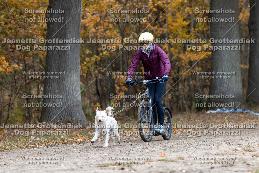 Dog Paparazzi - SD CaniX Championship 2025-575 | Dog Paparazzi Jeanette Grottendiek Fotografie & Videografie - Realisiert mit Pictrs.com