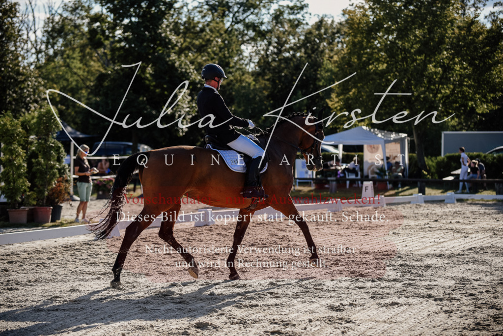 DSC_0596 | Pferde- und Turnierfotografie in Westsachsen. Pferdeportraits, Auftragszeichnungen und intuitive Kunst.