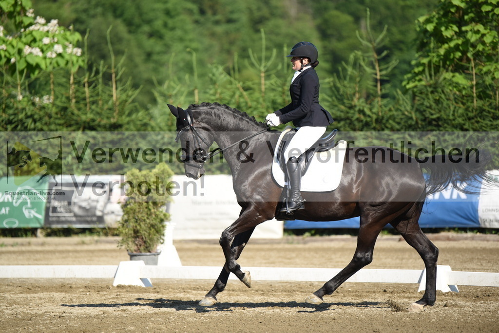 DSC_7033 | equestrian-live-com