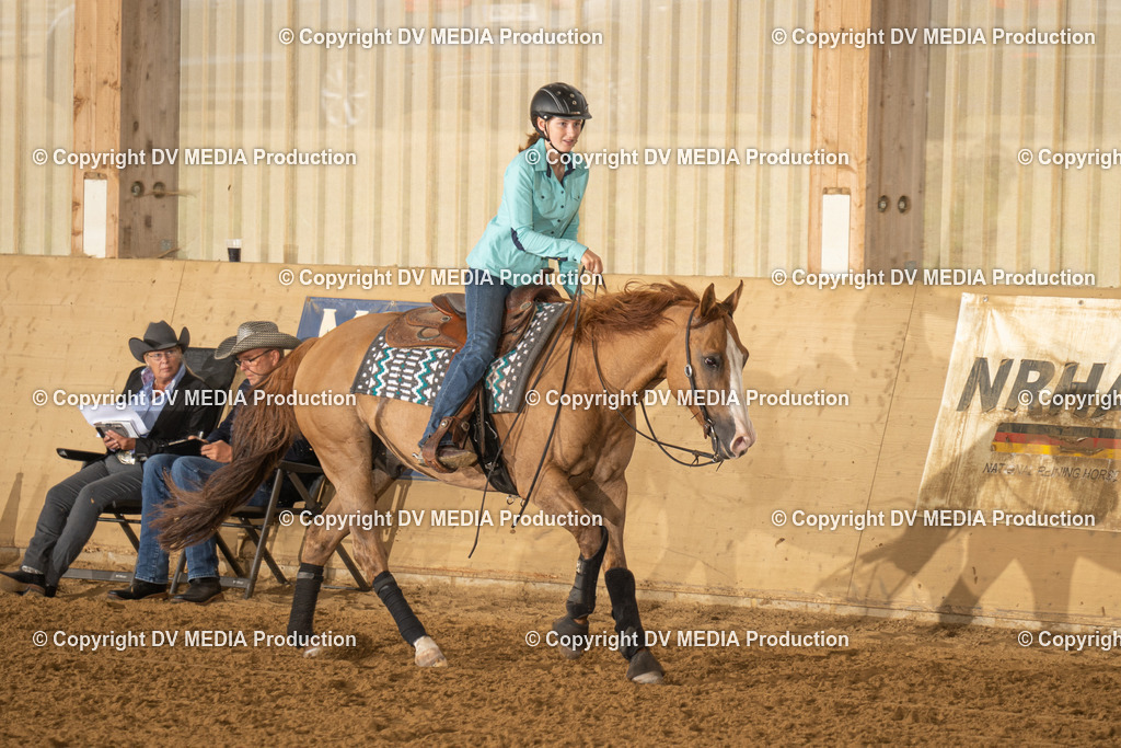 LAU00564 | dv-media-shop - Realisiert mit Pictrs.com