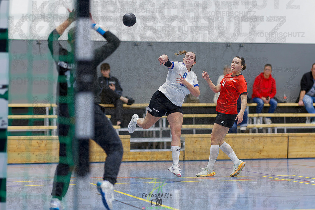 Frauen 2. Bezirksklasse; SG Rechtenbach - HSG Linden II | Frauen 2. Bezirksklasse; SG Rechtenbach - HSG Linden II am 16.11.2025 in Rechtenbach (Sporthalle Rechtenbach)Photo © 2025 - Jörg Heinrich - Realisiert mit Pictrs.com