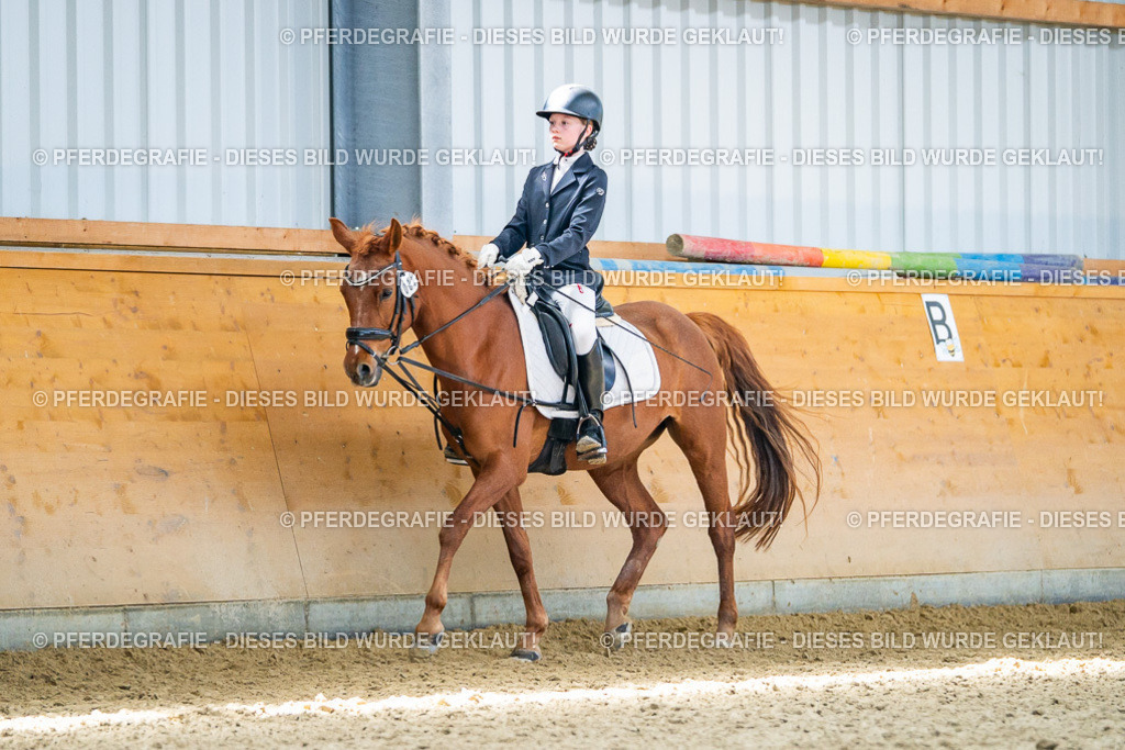 DSC03217 | Pferdegrafie