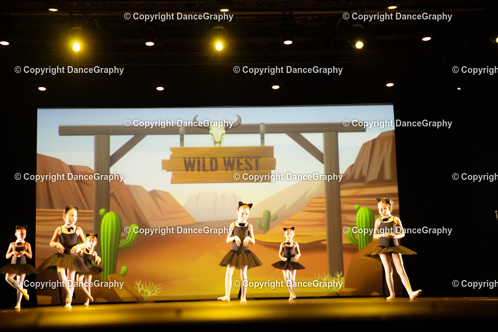 GPHY4233 | DanceGraphy - Realisiert mit Pictrs.com