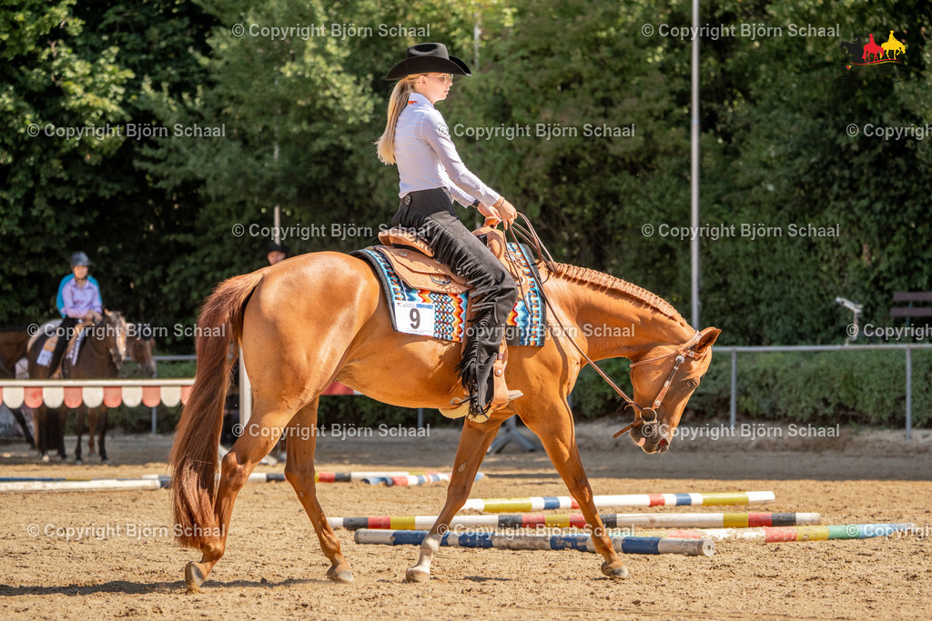 LMS05018 | BS-foto