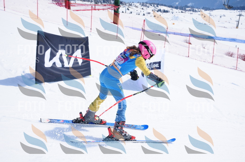 DSC_5546 | holidayphoto