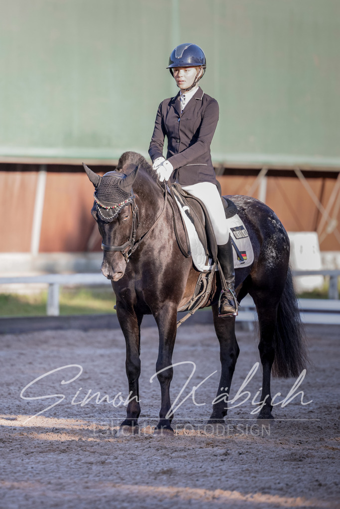 20250906-_3LI2770 | Tierfotografie Pferde, Hunde, Katzen, Haustiere.
Turnierfotografie Reitturniere, Reiten, Springreiten, Dressur in Hanau, dem Main-Kinzig-Kreis und dem Rhein-Main- Gebiet um Frankfurt