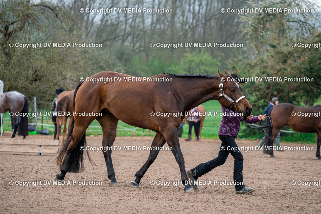 BA300017 | dv-media-shop - Realisiert mit Pictrs.com