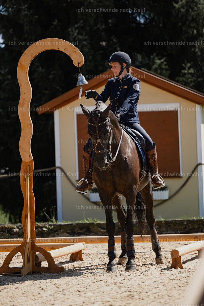 Mirjam25_FHC2025-27333 | working equitationturnier fotograf videograf stoibphotography marixx film working equitation deutschland reitsport turnierfotografie eventfotografie equestrian events