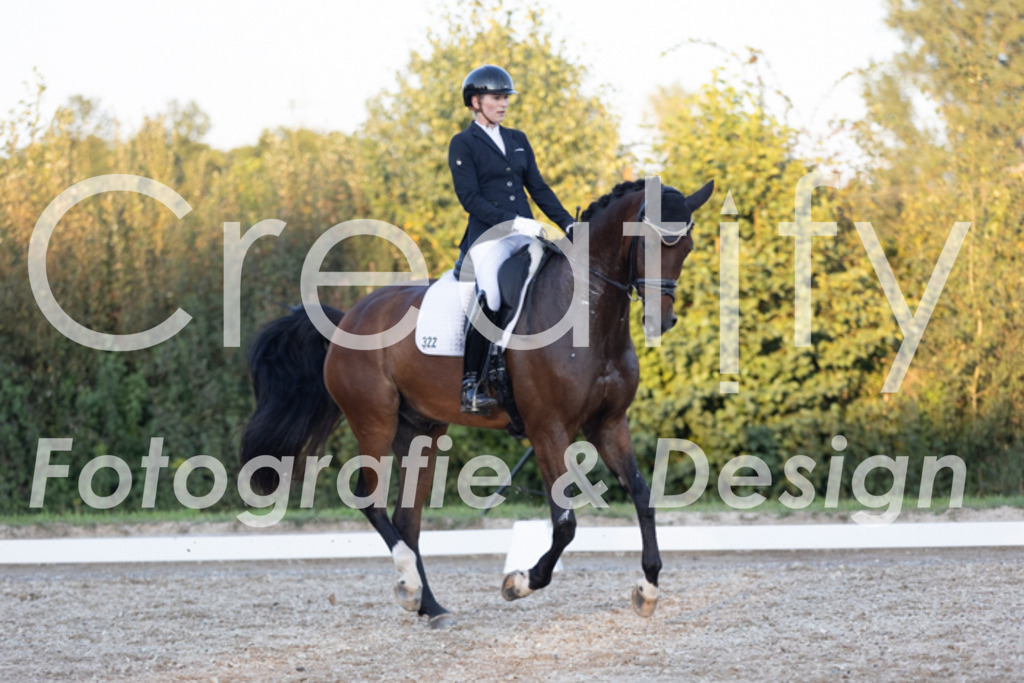 IMG_1803 | Creatify Fotografie