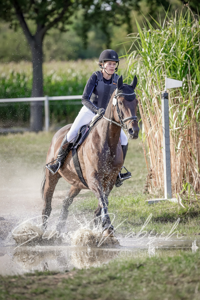 20250906-_3LI7584 | Tierfotografie Pferde, Hunde, Katzen, Haustiere.
Turnierfotografie Reitturniere, Reiten, Springreiten, Dressur in Hanau, dem Main-Kinzig-Kreis und dem Rhein-Main- Gebiet um Frankfurt