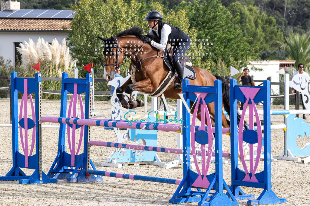 IMG_4010 | s-jay-photography - Realisiert mit Pictrs.com