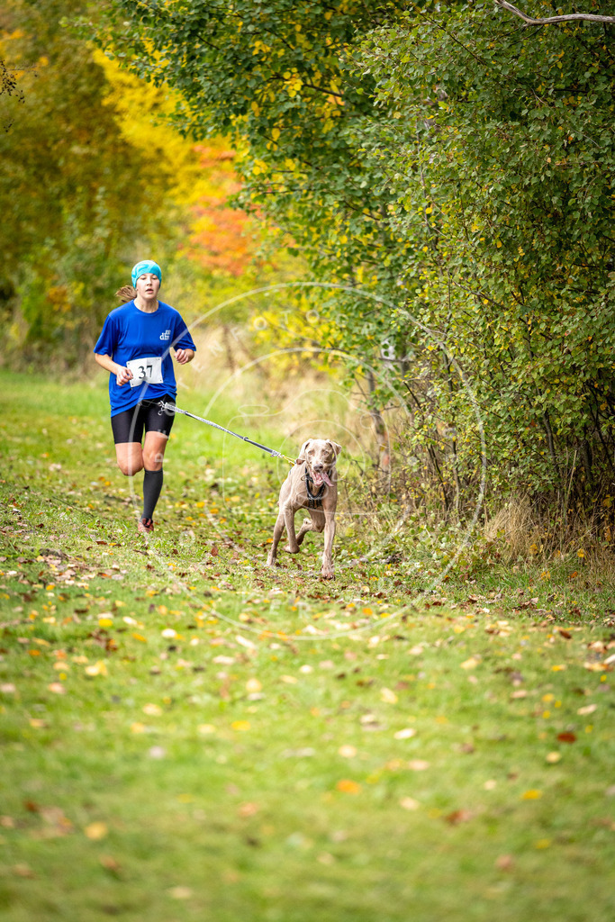 Pfotenfotografie_DV3A2157 | Hundefotografie, Tierfotograf, Pfotenfotografie, Fotoshooting Hund, Hunde Portrait, Hundesport, Hundeportraits, Heideshooting, Hunde, Sportfotograf, Hundefotograf, Turnierhundsport, THS,  - Realisiert mit Pictrs.com