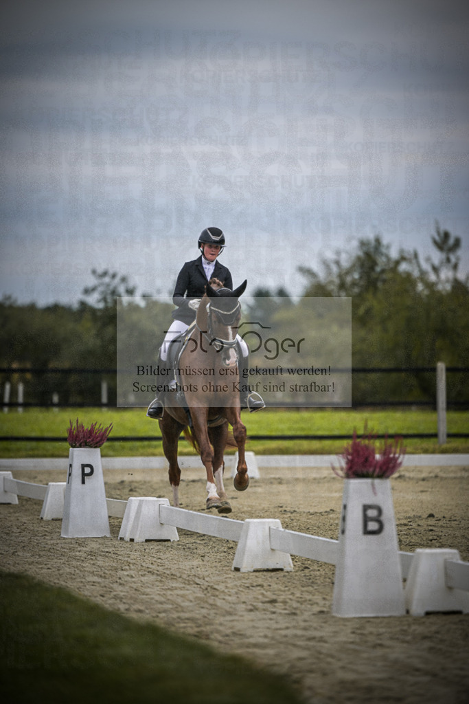 DOS_0818 | Entdecke hochwertige Reitturnierfotos von Foto Oger. Professionell, emotional und authentisch – jetzt Lieblingsmomente im Shop bestellen.Deutschlandweite Turnierfotografie. - Realisiert mit Pictrs.com