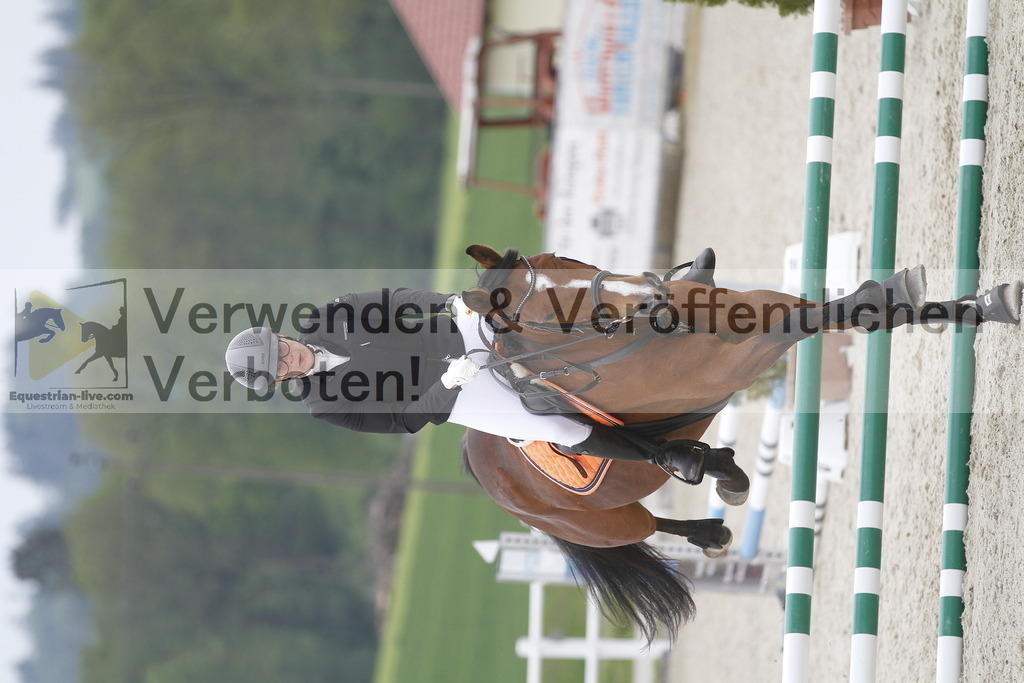 _MG_3651 | equestrian-live-com
