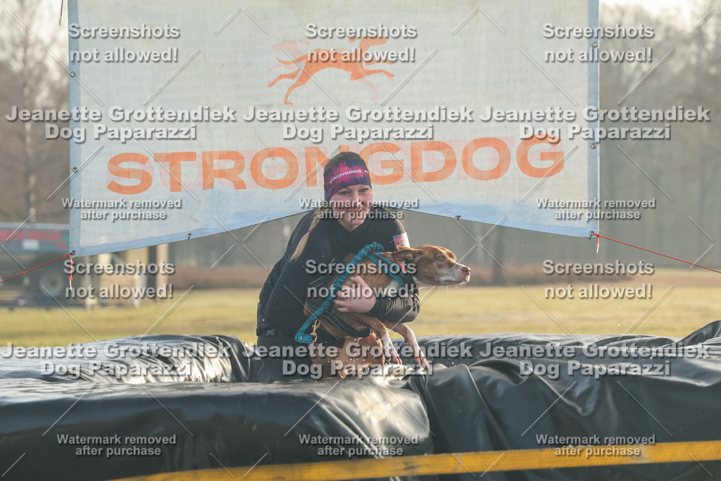 Dog Paparazzi - SD North Sa 830-900-48 | Dog Paparazzi Jeanette Grottendiek Fotografie & Videografie - Realisiert mit Pictrs.com