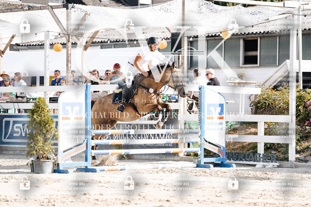 CK909182 | Turnierfotografie Pferdefotografie Trier Rheinland-Pfalz Pferdesport Reitsport Tierfotografie Sportfotografie Pferdevideo Pferdevideografie Equestrianvideography equestrianphotography  - Realisiert mit Pictrs.com