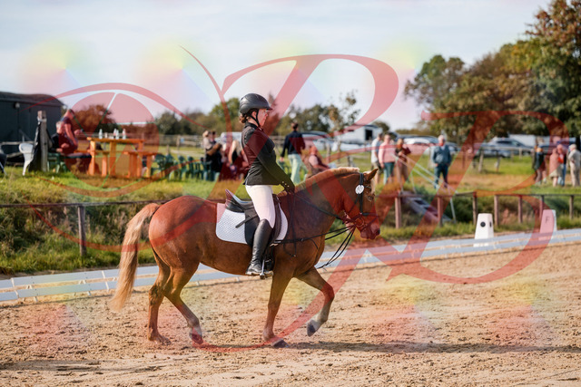 2026_10_03_Siefer-Hof_122017_Z63_42676523 | Professionelle Reitsport-, Turnier- und Eventfotografie von Robert Broda. Galerien mit ausgewählten und bearbeiteten Bildern direkt online ansehen und bestellen.