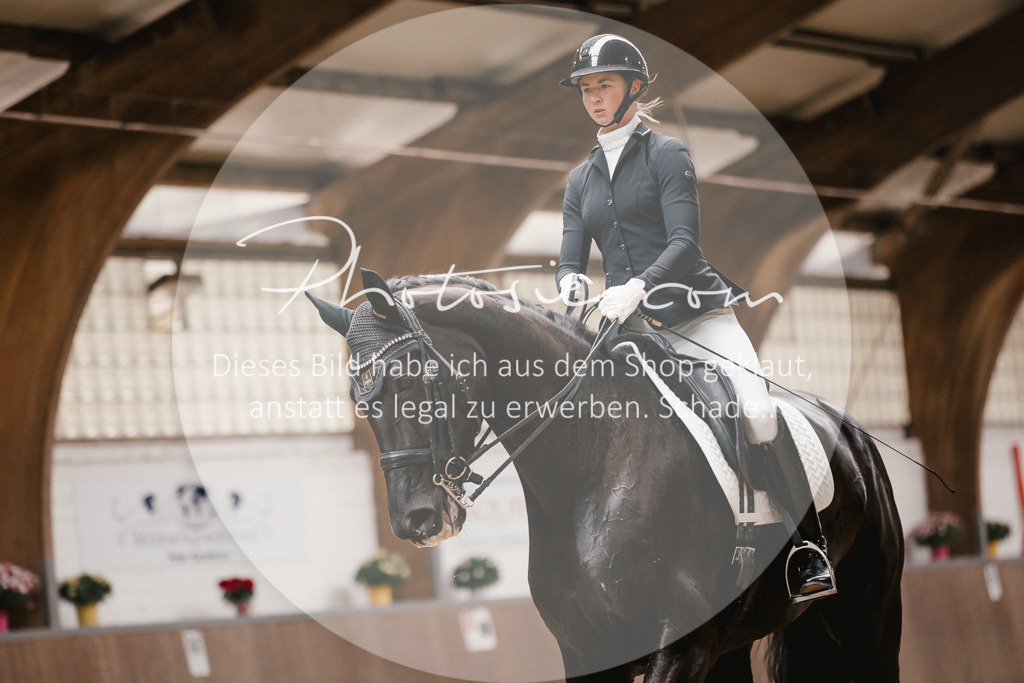 3I6A8999 | Stimmungsvolle Portraits und Reitsportfotografie im Ruhrgebiet und im Münsterland.

Pferdefotografie, Hundefotografie, Tierfotografie, Reportagen, Portraits von Tier und Mensch, Turnierfotografie in Bochum, Recklinghausen, Marl, Haltern am See, Dülmen.. - Realisiert mit Pictrs.com