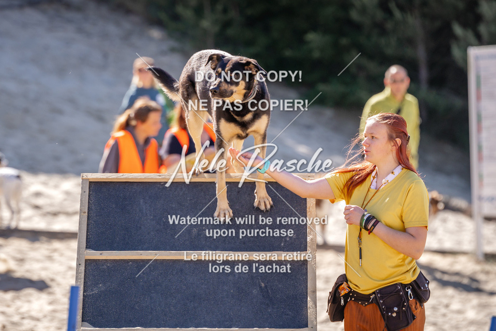 NR__0576 | nelerasche