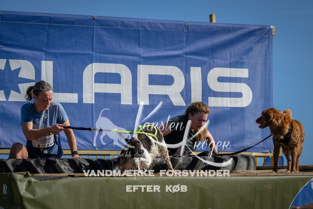 1011_ZZ97840 | kk-dogfotos