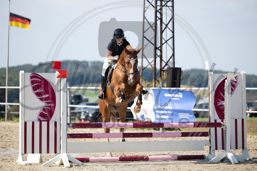 994A1836 | sabrinanicolaifotografie - Realisiert mit Pictrs.com