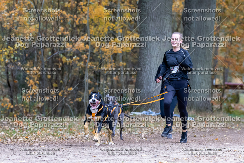 Dog Paparazzi - SD CaniX Championship 2025-428 | Dog Paparazzi Jeanette Grottendiek Fotografie & Videografie - Realisiert mit Pictrs.com