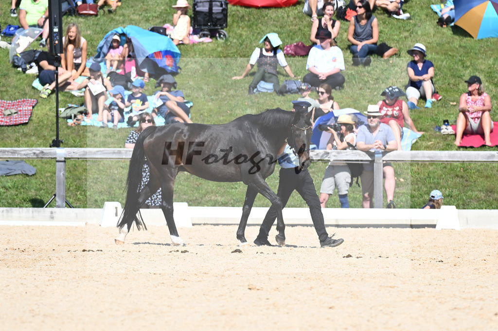 4. Familienschaubild_33230265 | hf-fotografie - Realisiert mit Pictrs.com