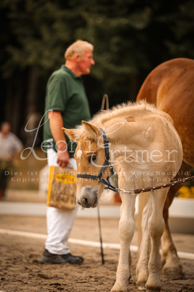 SaSF00115 | Leoni Ertmer Photography - Realisiert mit Pictrs.com
