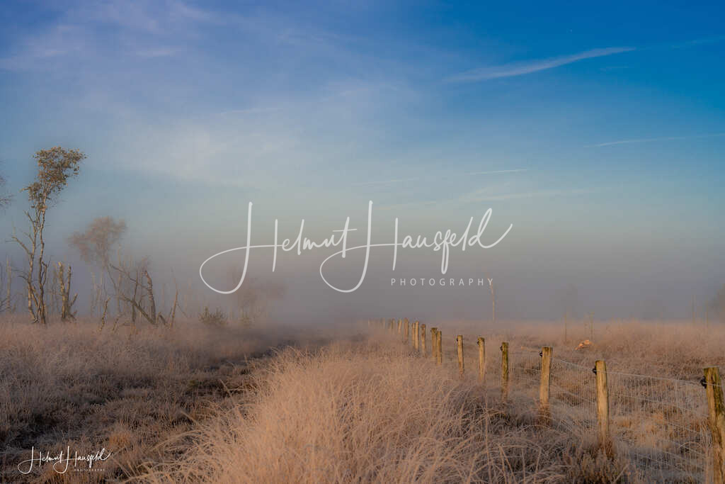 DSC04149 | Landschaftsfotografie, Naturfotografie - Realisiert mit Pictrs.com