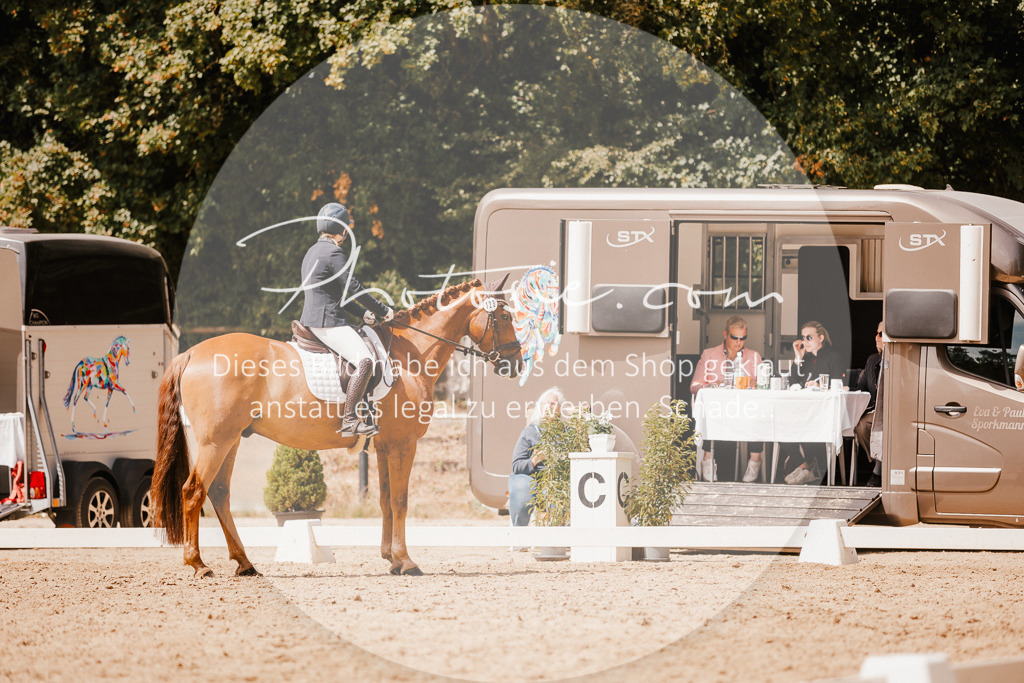 3I6A6258 | Stimmungsvolle Portraits und Reitsportfotografie im Ruhrgebiet und im Münsterland.

Pferdefotografie, Hundefotografie, Tierfotografie, Reportagen, Portraits von Tier und Mensch, Turnierfotografie in Bochum, Recklinghausen, Marl, Haltern am See, Dülmen.. - Realisiert mit Pictrs.com