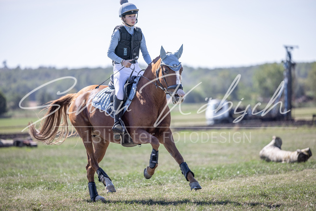20260906-_3LI2986 | Tierfotografie Pferde, Hunde, Katzen, Haustiere.
Turnierfotografie Reitturniere, Reiten, Springreiten, Dressur in Hanau, dem Main-Kinzig-Kreis und dem Rhein-Main- Gebiet um Frankfurt