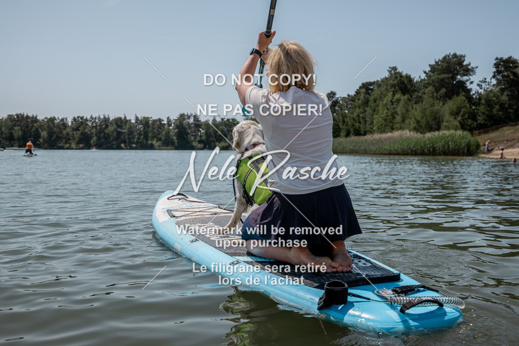 nelerasche_saSUP1_128 | nelerasche
