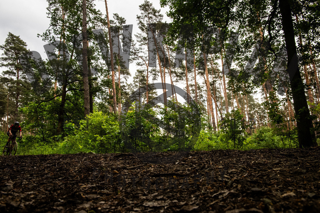 DKP-4626 | Drew Kaplan Photography