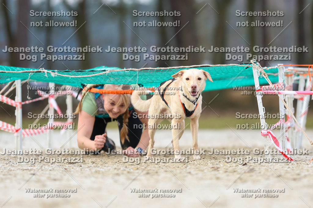 Dog Paparazzi - Strongdog North Mrz26-3770 | Dog Paparazzi Jeanette Grottendiek Fotografie & Videografie - Realisiert mit Pictrs.com