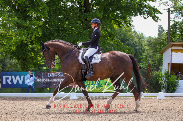DKP40947 | Turnierfotos kaufen im Webshop von Daniel Kuhl Photography – entdecke professionelle Reitsportfotos aus Turnieren & Events. Hochwertige Turnierbilder online bestellen & sichern. Jetzt Fotos von Reitsportturnieren kaufen!